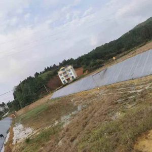 水泥毯